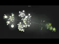 - Git History Visualization