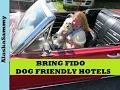 Dog Friendly Hotels Restaurants Activities Events Bring Fido