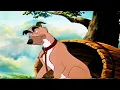 Download Lagu The Fox And The Hound: Chief (1981) (VHS Capture) (Filters) (8)