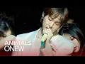 Download Lagu [LIVE] 온유 ONEW 'ANIMALS' Showcase Stage