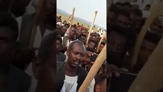 السيد ناظر عموم قبائل البني عامر علي إبراهيم دقلل يفجرها داويه بعد صمت 