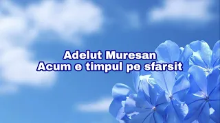 Download Adelut Muresan - Acum e timpul pe sfarsit MP3