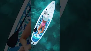 Reading a book on a paddle board is either a very good, or very bad idea. #bahamas #relaxing