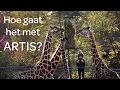 Download Lagu Jelle bij de Grote Savanne - Hoe gaat het met ARTIS #16