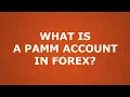 Download Lagu What is a PAMM trading in forex? FXOpen PAMM account.