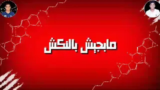 حالات واتس شواحه مهرجان كوكب جراه   هاتلي جيش والحرب دوليه دندنها