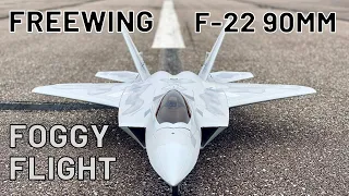 Freewing F-22 RAPTOR 90mm 6S 9B | ALMOST HIT MY CAMERAMAN (English/Français) 4K #F22 #Jet #rcplane