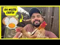 Download Lagu Como Reaproveitar Ovos não Férteis que Saíram da Chocadeira Dentro da Própria Criação | Gutejando