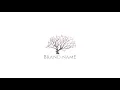 Tree Logo After Effects project hive template