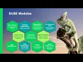 Linux Fundamental for DBAs