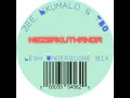 Download Lagu Zee Nxumalo \u0026 TBO   Ngisakuthanda (Lesh Underscore mix)