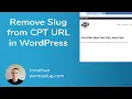 Remove Custom Post Type Name from Permalink in WordPress