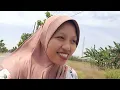Download Lagu Dapat Bagian Riwa-riwi.. Rewang Persiapan Sunatan Mas Pandu