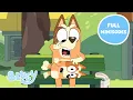 Download Lagu FOURTEEN Minisodes in ONE! 💙 | NEW Full Bluey Minisodes Compilation | Bluey