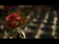 Download Lagu Sakura no Hanabiratachi (Indonesian) - cover by Ades Saputra