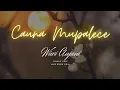 Download Lagu CAUNA MUPALECE - Wiwi Anjani || Lirik \u0026 Lagu || Voc \u0026 Cipt. Wiwi Anjani