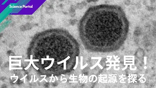 巨大ウイルス発見! ウイルスから生物の起源を探る|Science Portal動画ニュース(2026年6月5日配信)