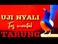 Download Lagu UJI NYALI ... TES MENTAL TARUNG 🔥 MURAI BATU ANDA