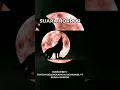 Download Lagu Suara Longlongan Serigala Menyeramkan
