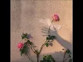 The Deli - 5:32 pm (Extended)