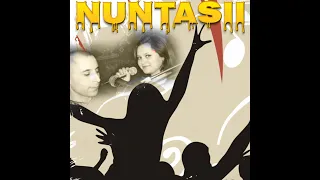 Download Formatia Nuntasii - Mireasa de Chisinau MP3