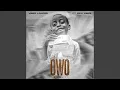 Lagu Owo (feat. Seyi Vibez)
