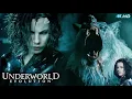 Download Lagu Underworld Evolution 2006 Full Movie  || Kate Beckinsale, Scott Speedman || Review and Facts