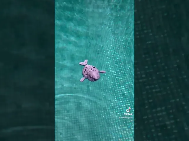 Flexi BlobFish video thumbnail
