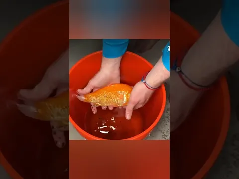 खाली Swimming Pool में छिपा था ये खतरनाक राज 😨