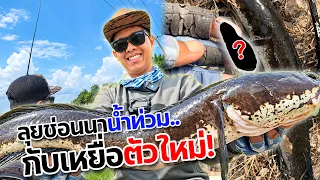 ครั้งแรกเอาเหยื่อตัวใหม่ล่าสุด? มาเทสระบบหมายนาน้ำท่วม โซนอยุธยา
