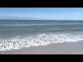 Sand dollar spit on Marco Is