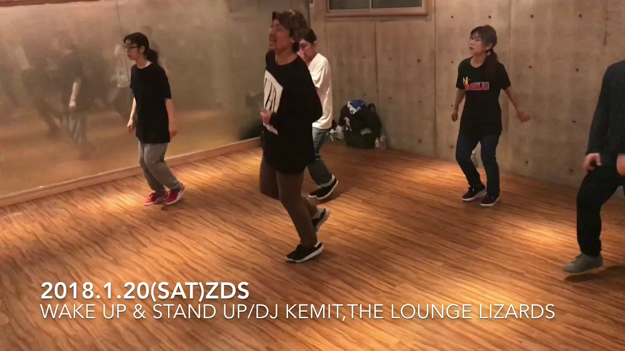 ZDS0120-"Wake up & Stand up"/DJ Kemit,The Lounge Lizards