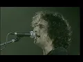 Andrés Calamaro - Sin documentos. Made in Argentina. Directo 2005
