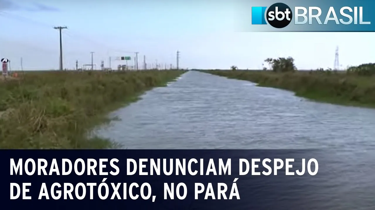 Moradores denunciam despejo de agrotóxico, no Pará | SBT Brasil (02/11/23)
