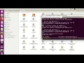 mininet socket programming