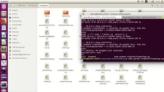 mininet socket programming