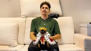 ENSINANDO COMO TRATAR UM GATO DE VERDADE ( sou pai de pet )