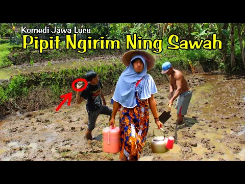 KOMEDI JAWA LUCU Pipit Ngirim Ning Sawah Banjaran Channel