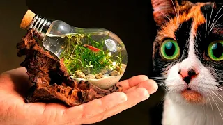 I CREATED AN AQUATIC TERRARIUM WITH AN ANIMAL INSIDE A LIGHT BULB