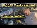 PACCAR Crank case vent yet another paccar issue