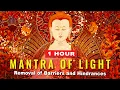 Download Lagu Maha Vairochana Mantra of Light 1 Hour: Removes Obstacles, Combines all Buddha Mantras into One