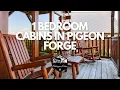 1-Bedroom Cabins in Pigeon Forge Romantic Getaways Pet-Friendly Stays Outrageous Cabins