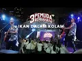 Download Lagu 3 PEMUDA BERBAHAYA - IKAN DALAM KOLAM | LIVE PERFORMANCE