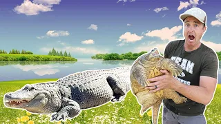 How I Prepare My Alligators and Exotic Animals For Summer FULL TOUR