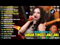 JANGAN TUNGGU LAMA LAMA - AJENG FEBRIA - FULL ALBUM KOPLO DANGDUT MELAYU VIRAL 2025