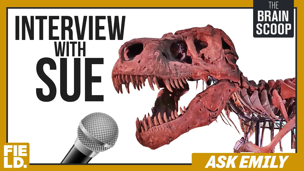 Ask Emily! #15