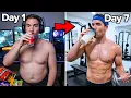 I Lived on Protein Shakes for 7 Days
