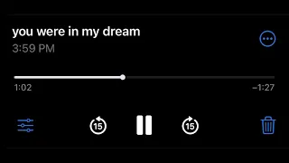 I Saw You In My Dream Original 