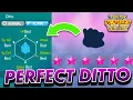 How to get a 5-6 IV DITTO in Pokemon Scarlet and Violet