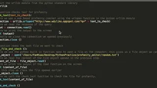 Profanity Checker Python Script